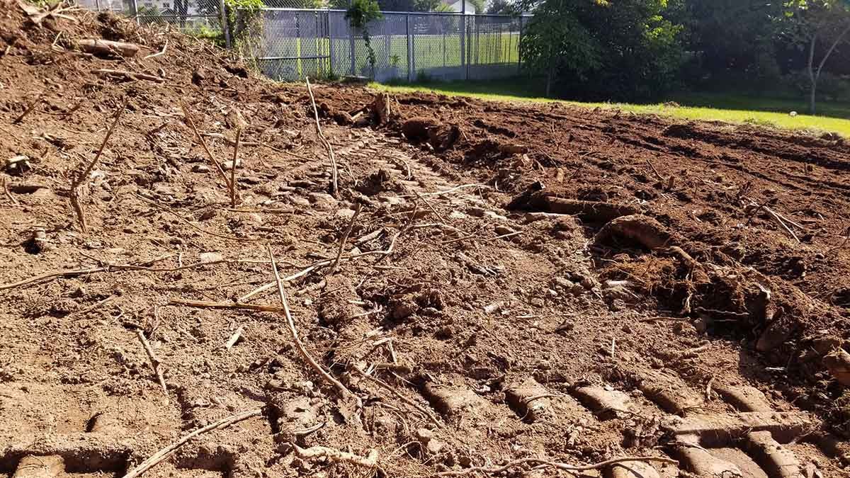 New Lawn Landscaping Abbotsford Photo 5