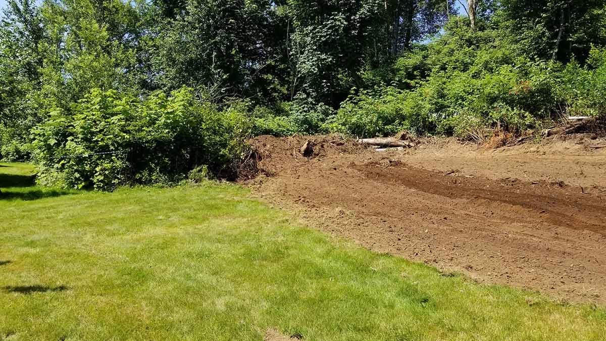 New Lawn Landscaping Abbotsford Photo 6