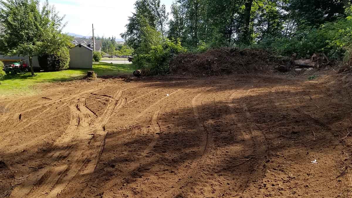 New Lawn Landscaping Abbotsford Photo 8