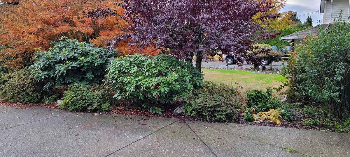 Excavating New RV Parking Pad Photo 1