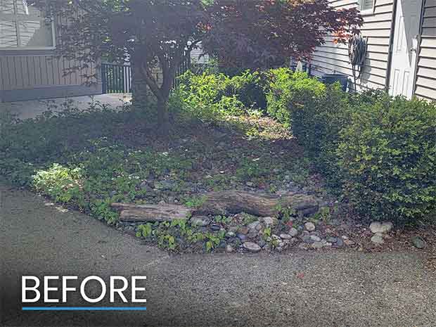 Before Photo of Garden in Abbotsford