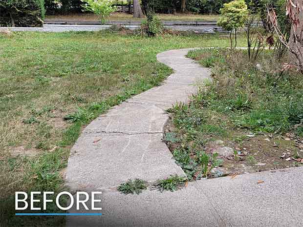 Before Sidewalk Renovation Photo