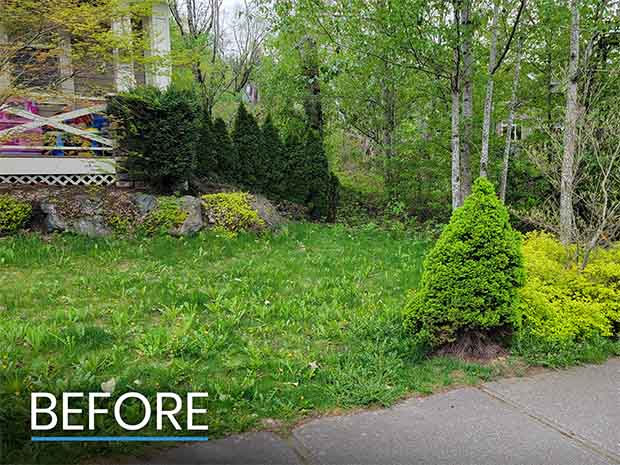 Before Landscaping Chilliwack Front Yard