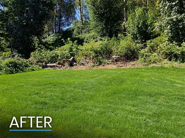 After Landscaping Lawn in Abbotsford After Landscaping Lawn in Abbotsford