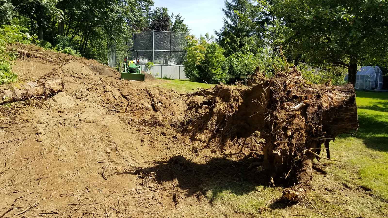 Creating Beautiful Lawn in Abbotsford Creating Beautiful Lawn in Abbotsford