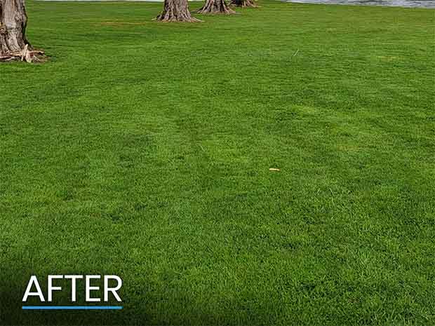 After New Drainage System Installed Photo