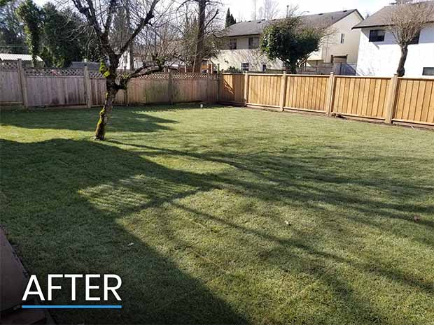 Photo After Backyard Revamp Complete Photo After Backyard Revamp Complete