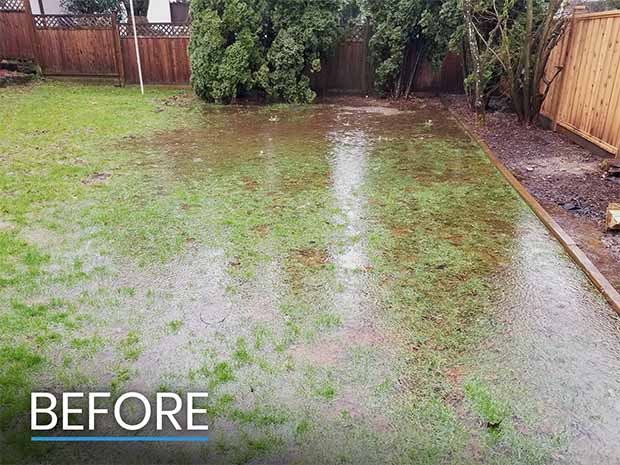 Before Status of Drowning Backyard Before Status of Drowning Backyard