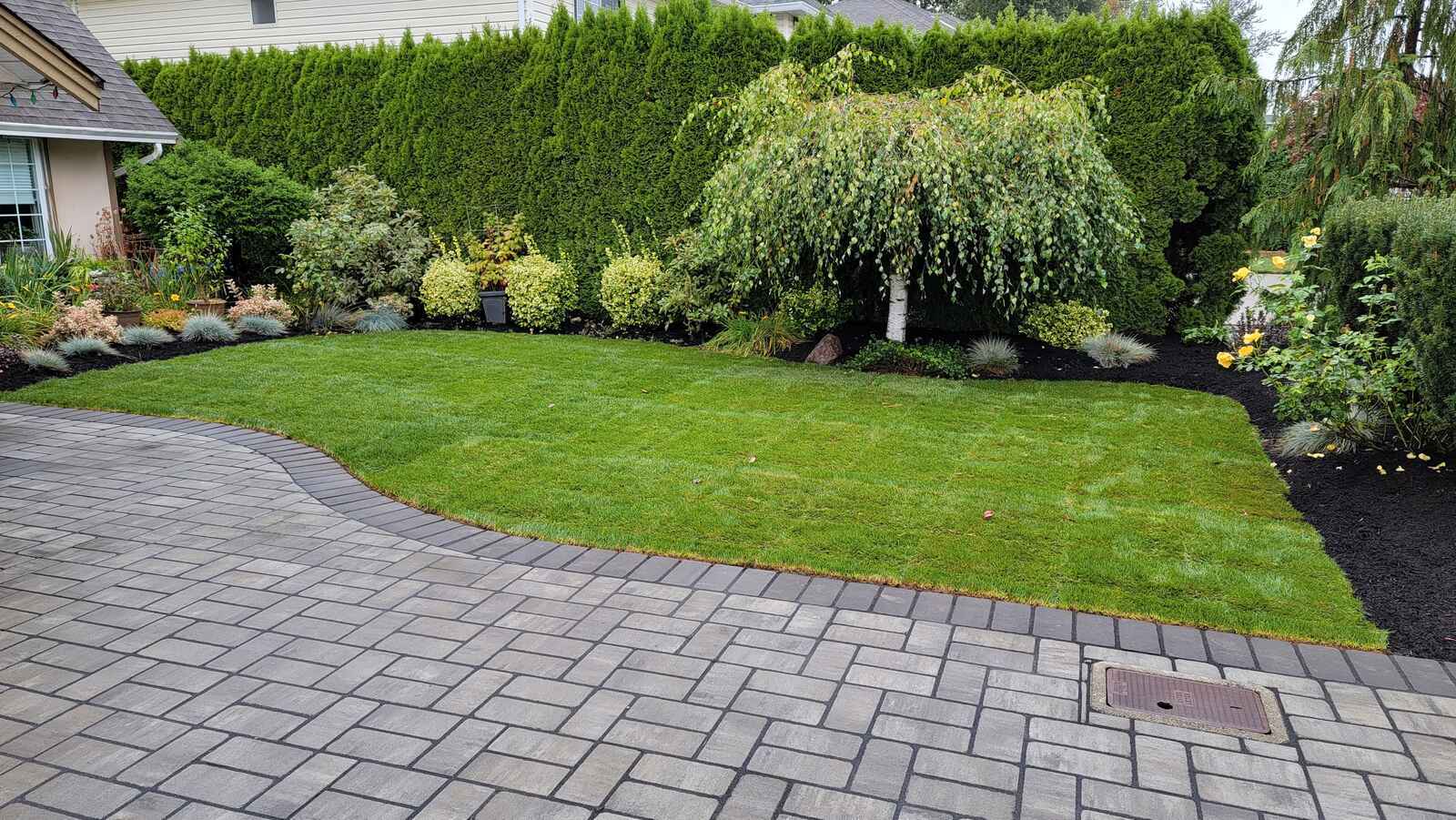 Close-up of new sod installation with stone border by Back 40 Landscaping in Abbotsford, BC