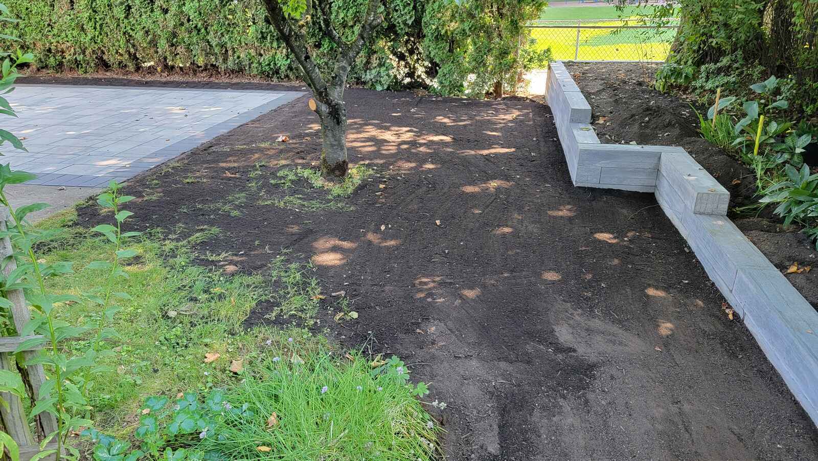 Newly landscaped backyard with leveled soil next to retaining wall by Back 40 Landscaping in Abbotsford, BC