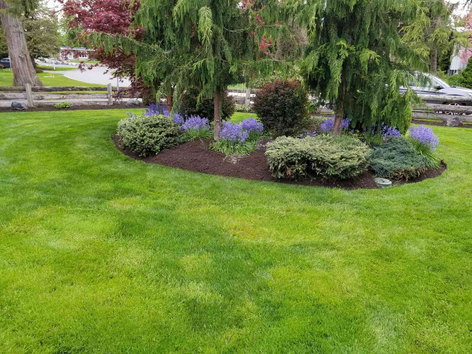 Beautifully landscaped garden with lush green grass and flowering plants by Back 40 Landscaping in Abbotsford, BC