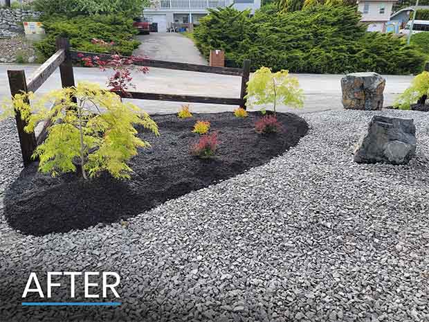 After Photo of Front Yard