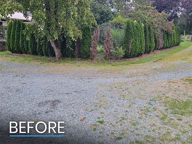 Before Photo of Langley Gravel Driveway