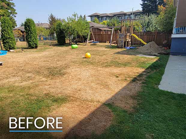 Before Photo of Drain Project Commencement