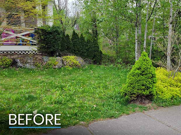 Before Drainage System Install Photo Before Drainage System Install Photo