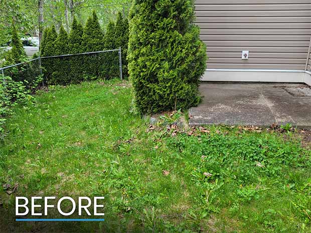 Photo of Backyard Before Landscaping