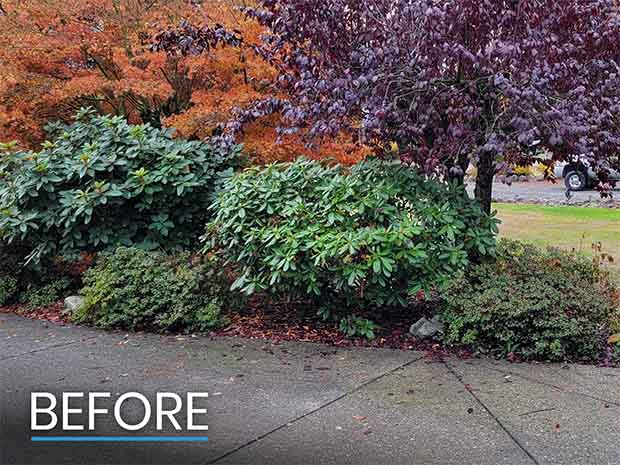 Before RV Parking Pad Was Installed